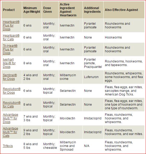 The Dog Dame: The Hoopla About Heartworm