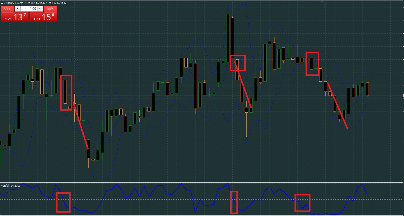 Grupos de forex