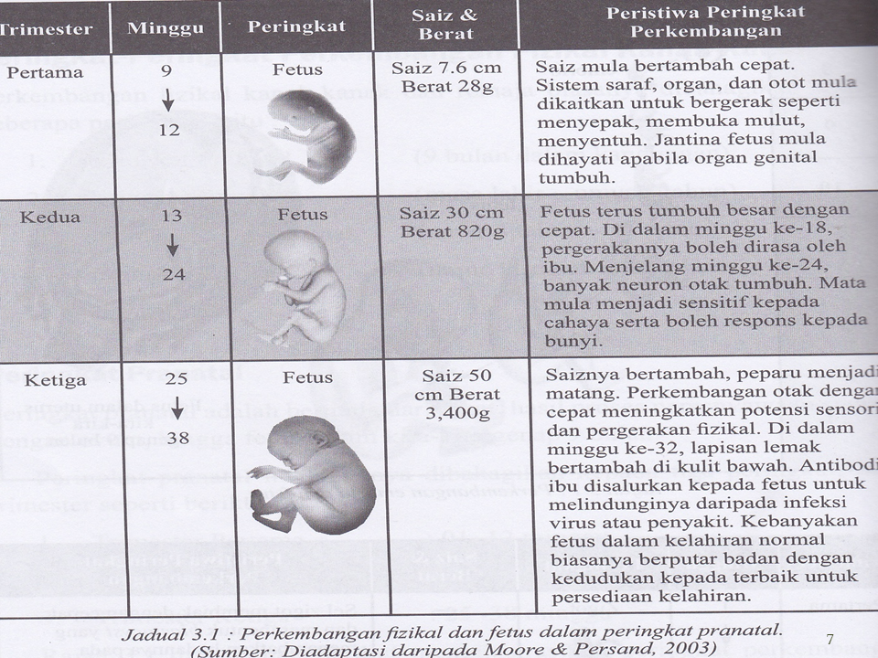 Pregnancy Test Positive Butyeast Infection - 7p88i0w
