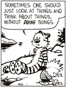 The Wisdom Of Calvin...
