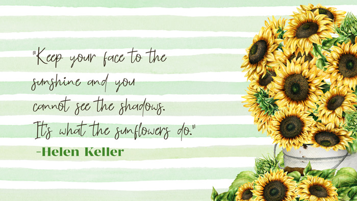 Download Aesthetic Peach Sunflower Quotes Wallpaper  Wallpaperscom