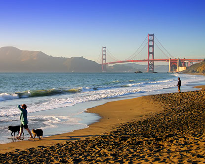 [Image: Ocean%2BBeach%2BSan%2BFrancisco%2B5.jpg]