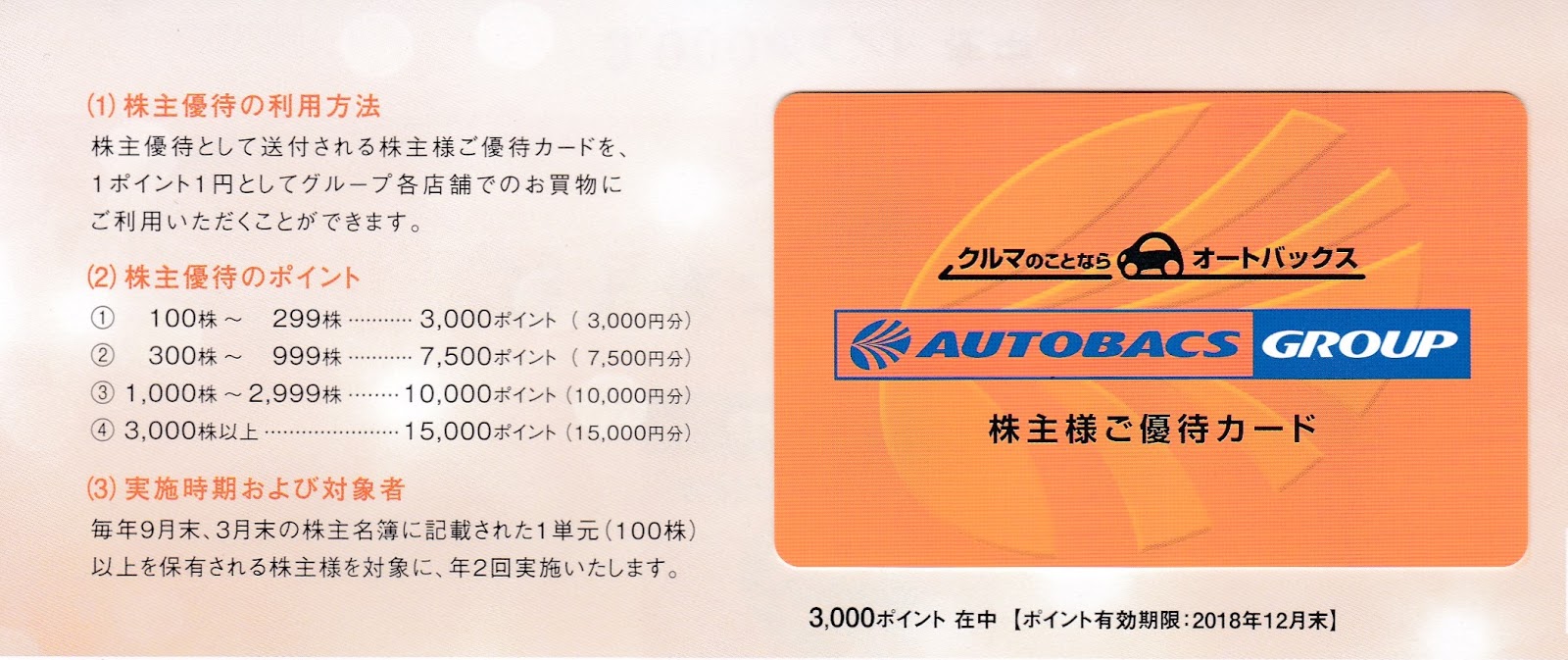 プレミアム オートバックス 株主優待券 20000円分 | ferndaledowntown.com