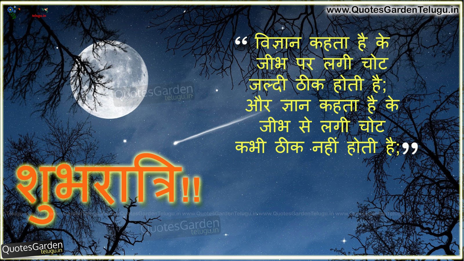 Best Hindi Good night Shayari Greetings | QUOTES GARDEN TELUGU ...