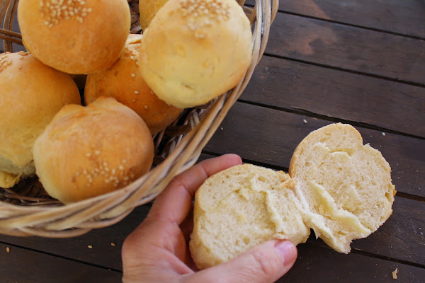 Panecillos de hamburguesa (hamburguer buns)