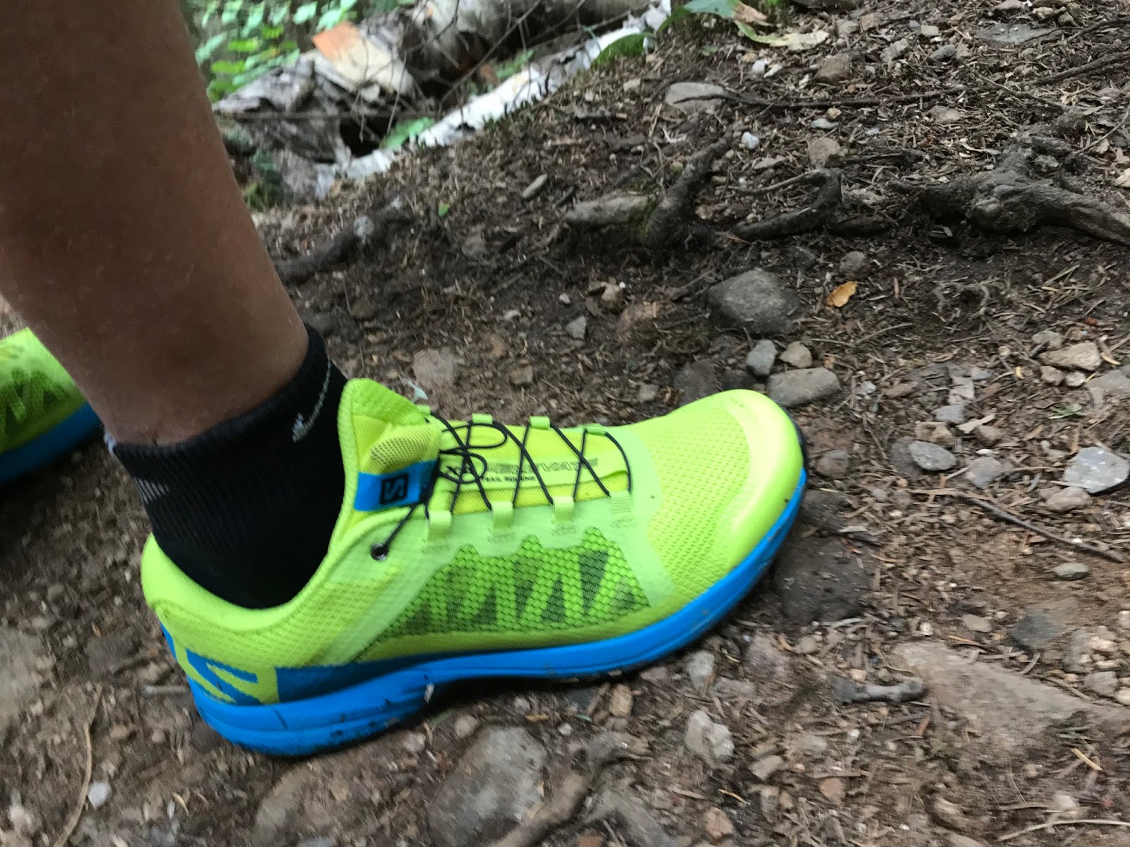 salomon speed bob