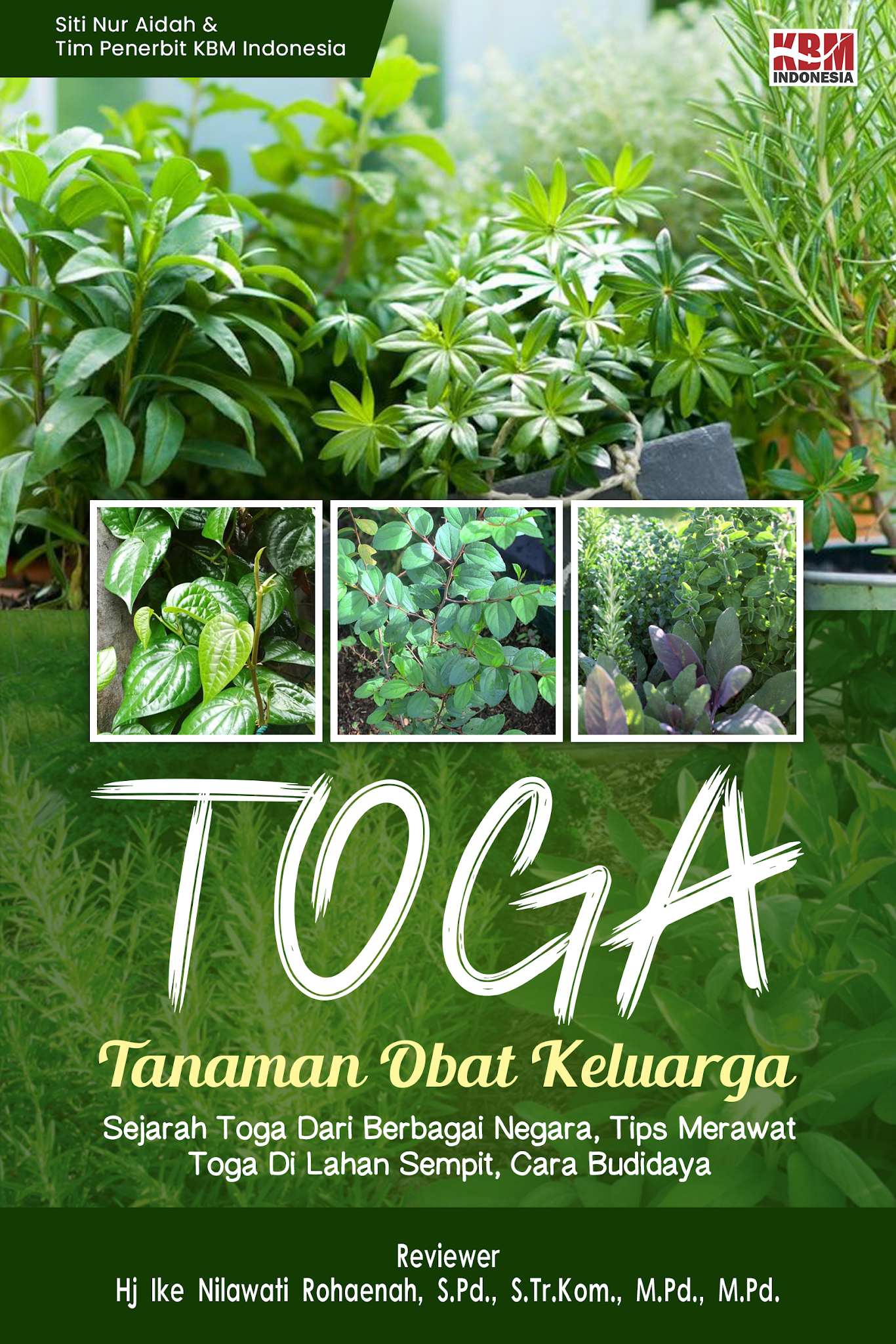 TOGA (TANAMAN OBAT KELUARGA)