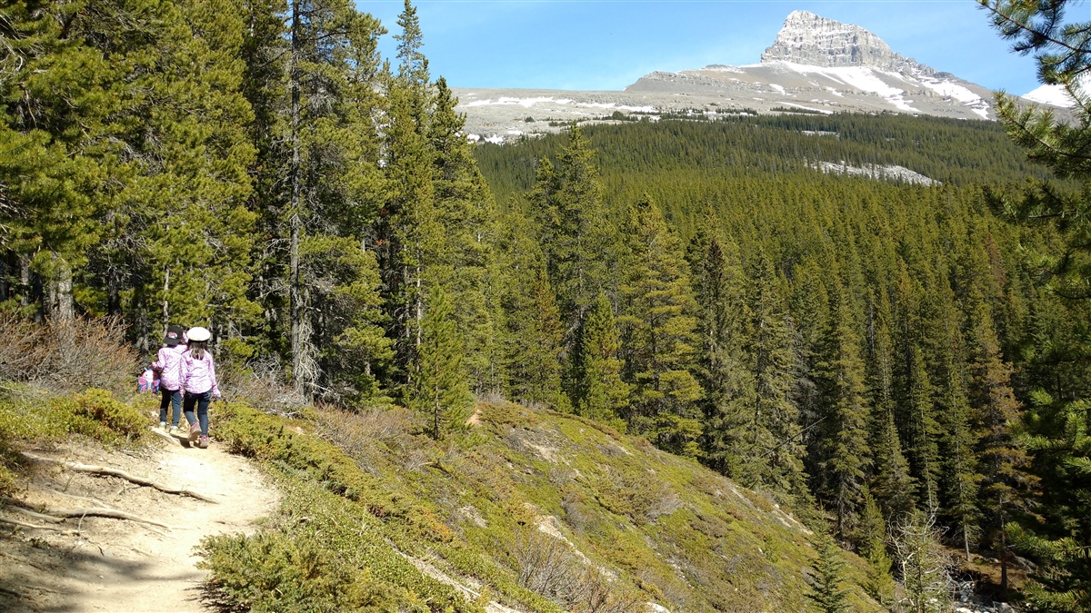 West Wind Pass Trail, Kananaskis Play