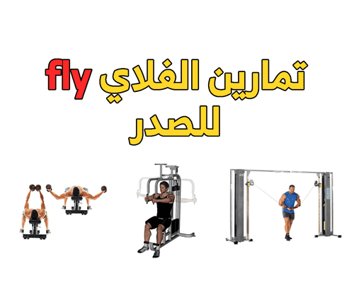 تمارين الصدر