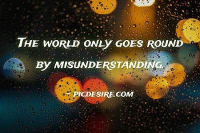 30+ Best Misunderstanding Quotes and Sayings