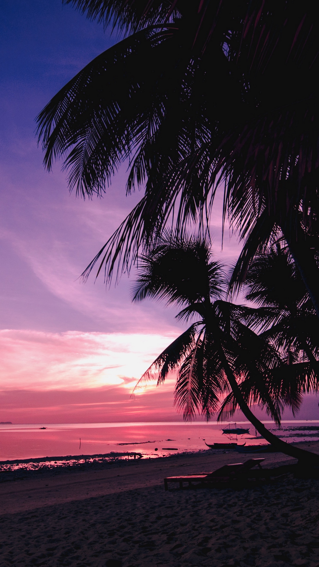 Pink Sunset Palm Trees Beach Tropics free wallpapers for iphone pc and laptop