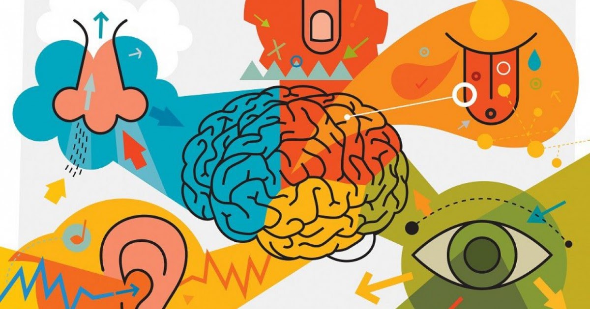 ATENCIÓN, SENSACIÓN Y PERCEPCIÓN