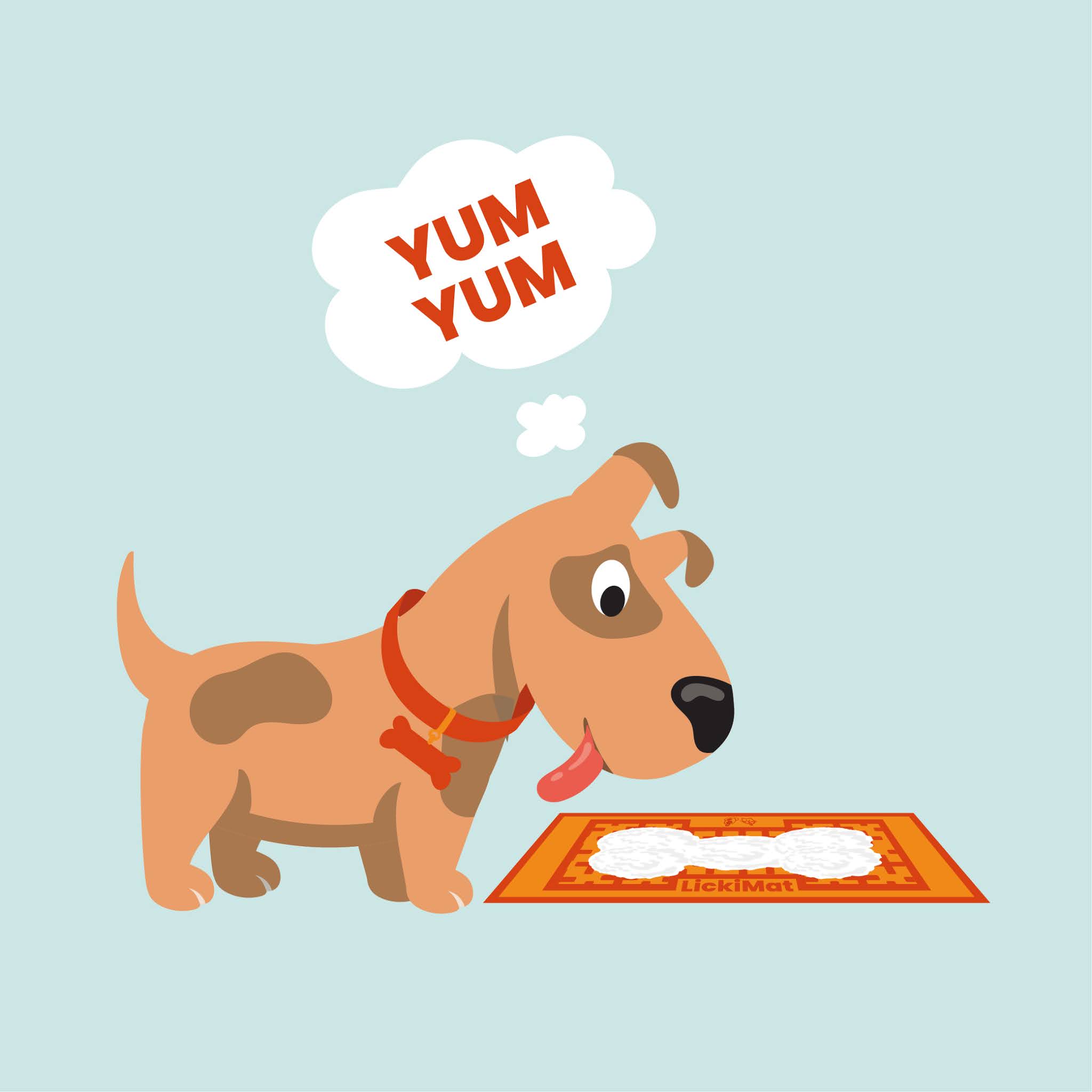 How to Train your Dog to Use LickiMat® Correctly