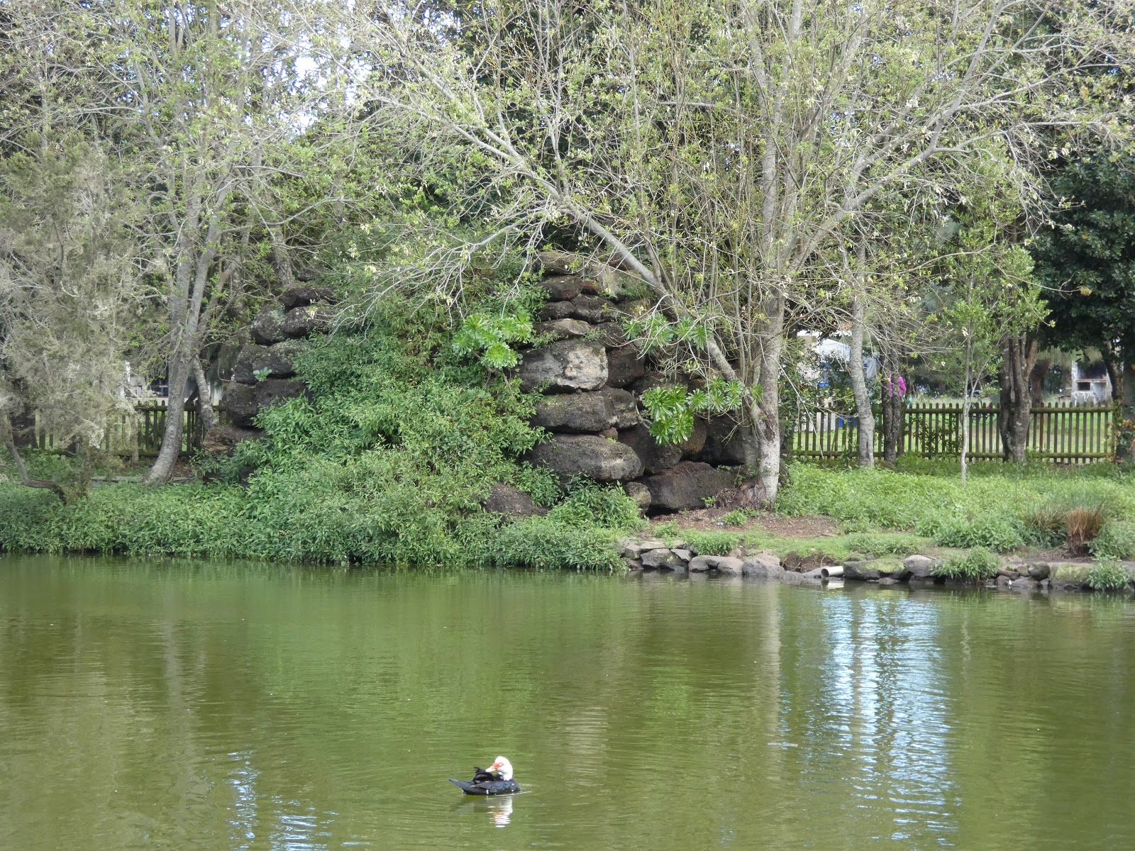Foto de Parque de Laguna Barlovento en Barlovento, Santa Cruz de Tenerife