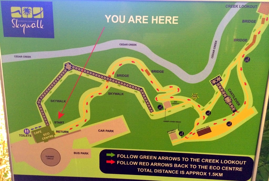 Travelholic Skywalk Tamborine Mountain, Gold Coast.