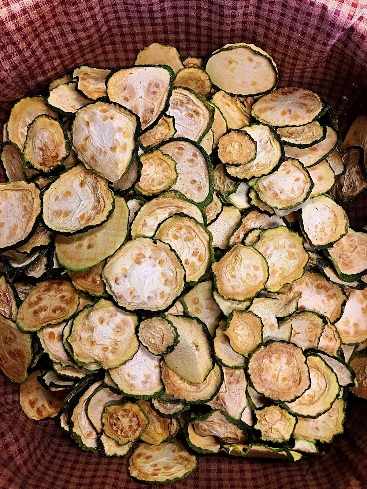 Country Mama To Many Easy Dehydrator Zucchini Chips