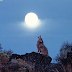 Coyote Wisdom For Wednesday's Full Moon Eclipse | Parisse Deza