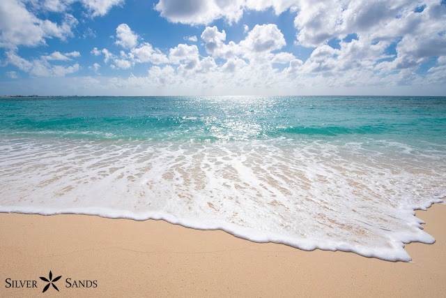 Silver Sands Condos, 7-Mile Beach, Grand Cayman, Cayman Islands Vacation Rentals, Turtle Friendly Lighting, Turtle nesting, Cayman Staycation