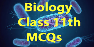  Chapter 1 ( The living world ) - MCQs - Biology Class 11th