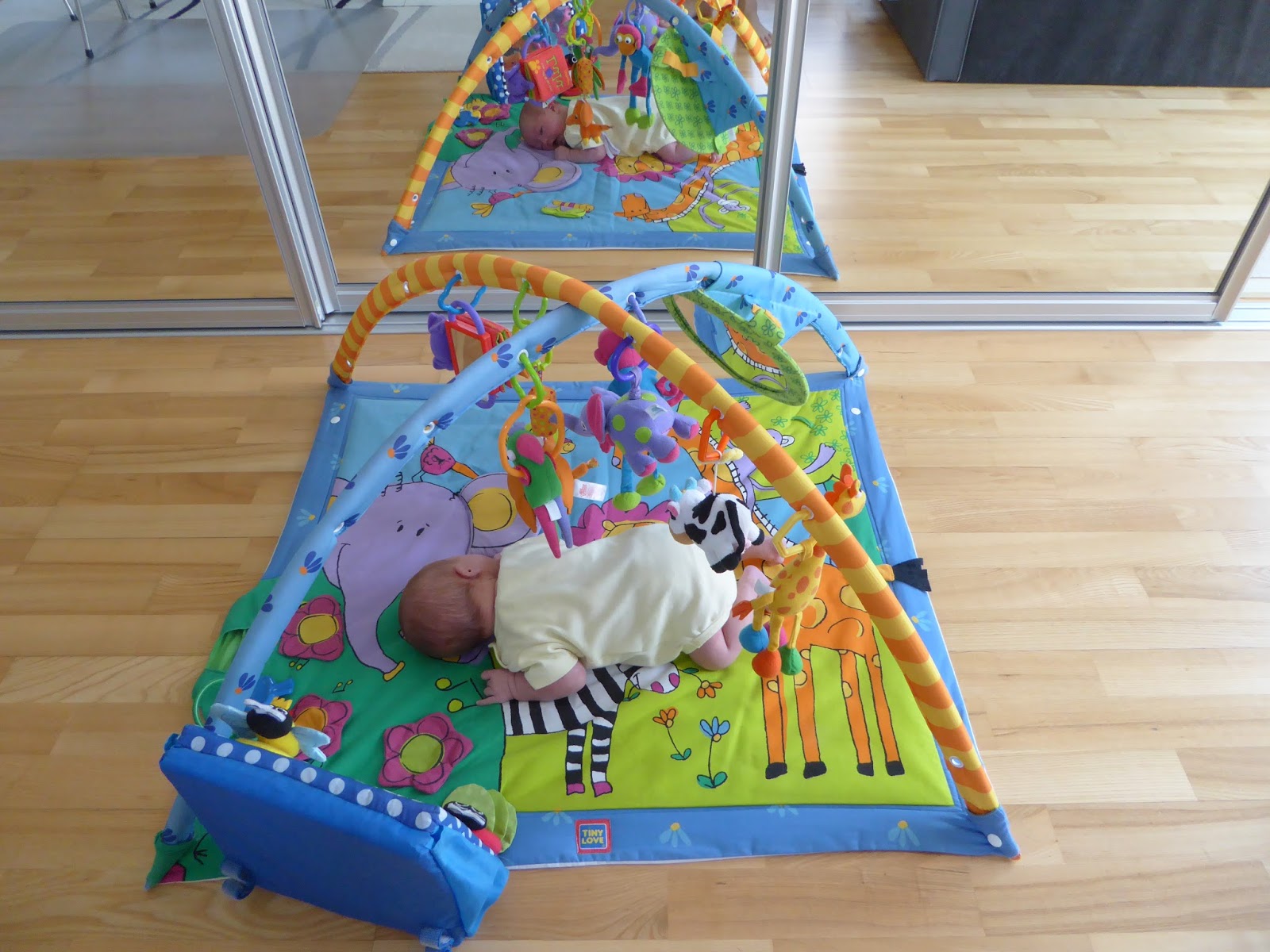 Family FECS Let Baby Lie on Tummy