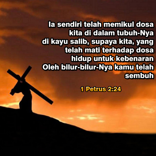 1%2BPetrus%2B2 24