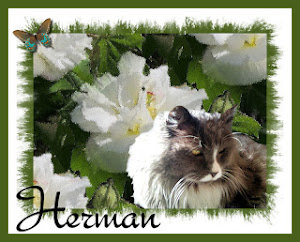 Herman