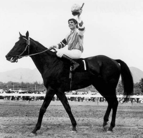 La Hípica Peruana: SANTORIN el Mejor Caballo Peruano de la Historia :)