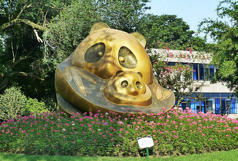 centro ricerca panda chengdu cina