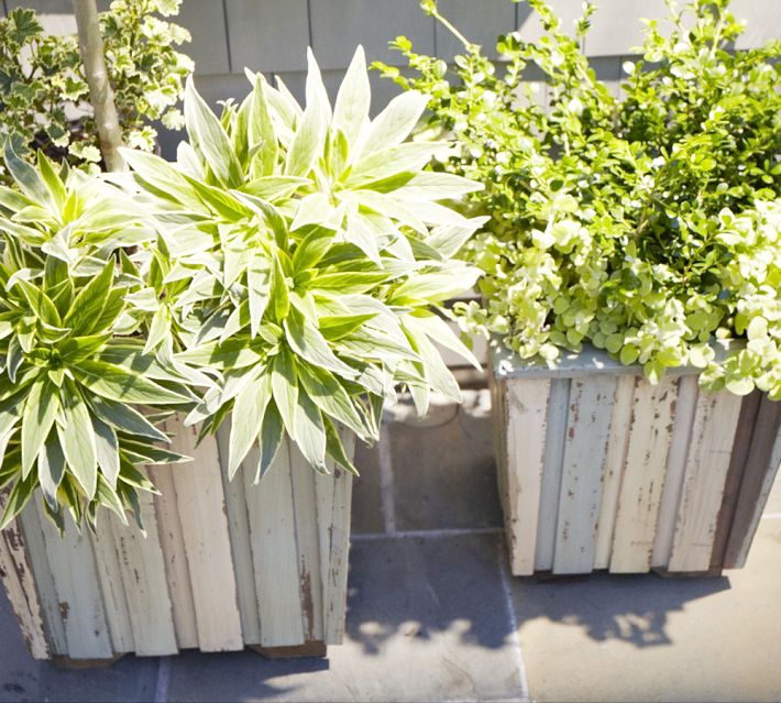 Courtesy of Pottery Barn