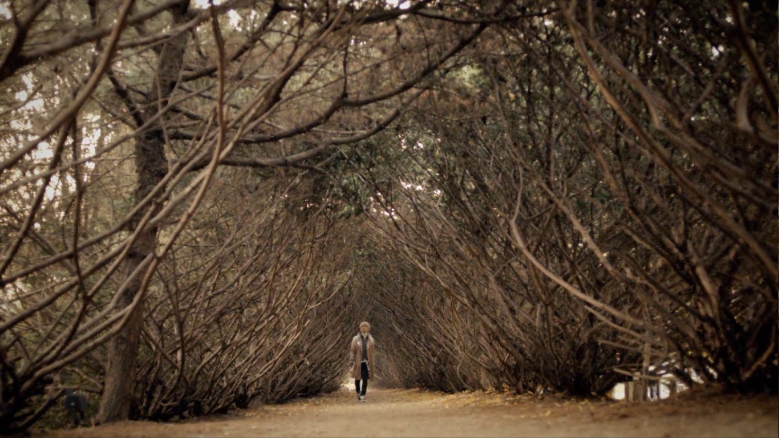 Tried to walk. Tried to walk. Learn to walk before you run. Рыжая зебра. Tried to walk.