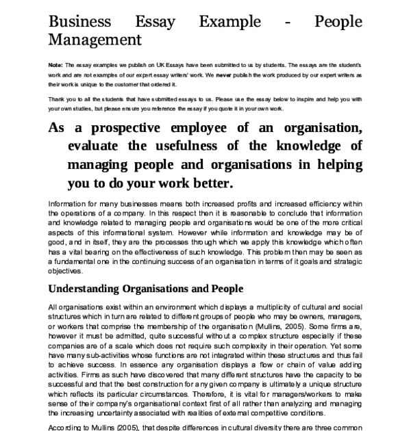 Business Essay Examples Resume Letter