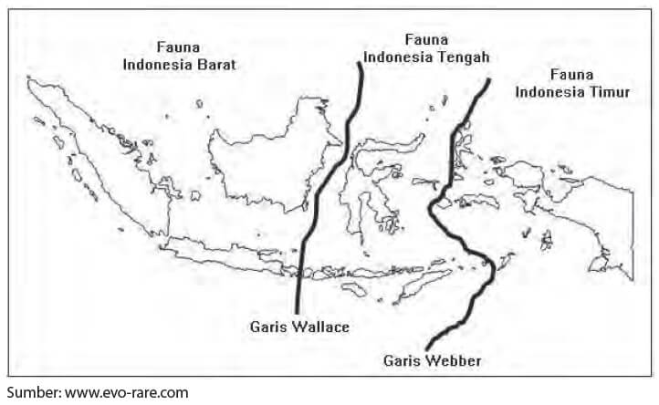 Flora Dan Fauna Indonesia Portal Kelas