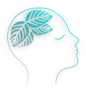 mind mint login mind mint login