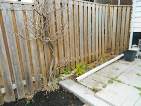 Toronto Birch Cliff spring garden cleanup after by Paul Jung Gardening Services