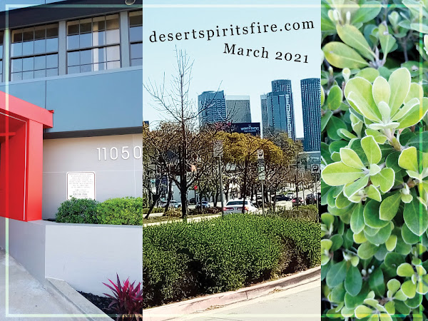 buildings and greenery along Santa Monica Blvd Los Angeles late March 2021