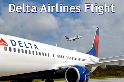 Delta airlines flights