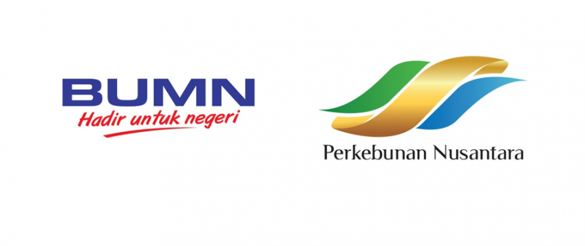 Lowongan Kerja BUMN Terbaru Perkebunan Nusantara Group Medan November 2019