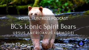 BC's INCONIC SPIRIT BEARS / EPISODE #79