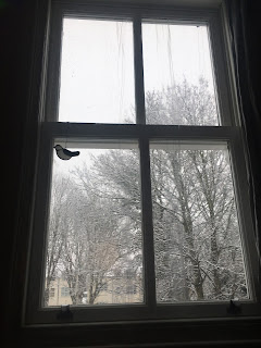 window snowy