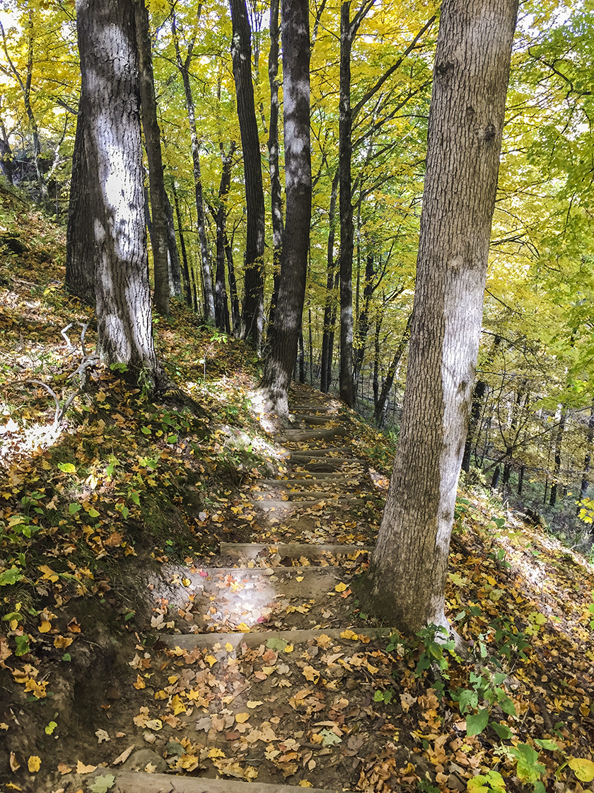 Hiking on the Old Settler's Trail at Wildcat Mountain State Park