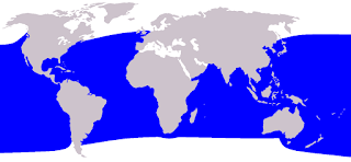 Pigme ispermeçet balinasının doğal yaşam alanı haritası