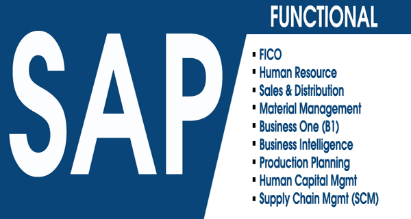 Online SAP Course in Jaipur