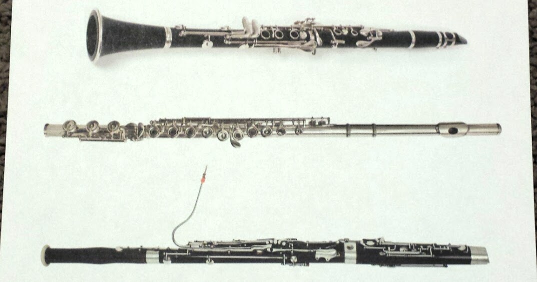 Adorable Little Moments Woodwinds