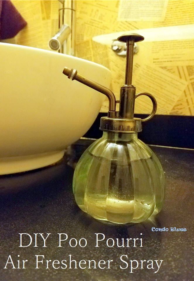 Condo Blues DIY Poo Pourri Air Freshener Spray