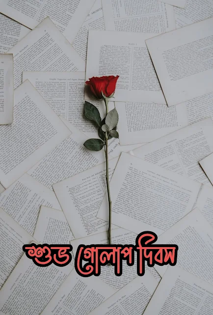 Bangla Rose day Sms