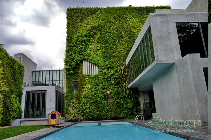 Taman Dinding Minimalis