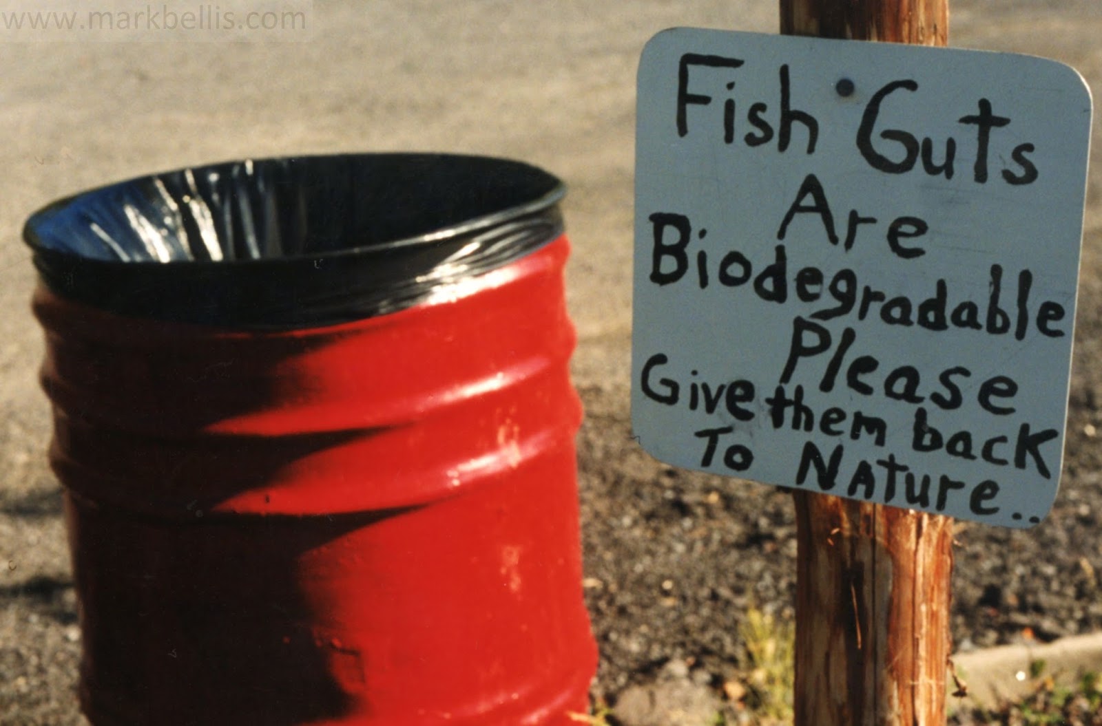 Mark Bellis Fish Guts