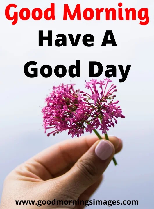 Good Morning Images in english Good Morning Images in english