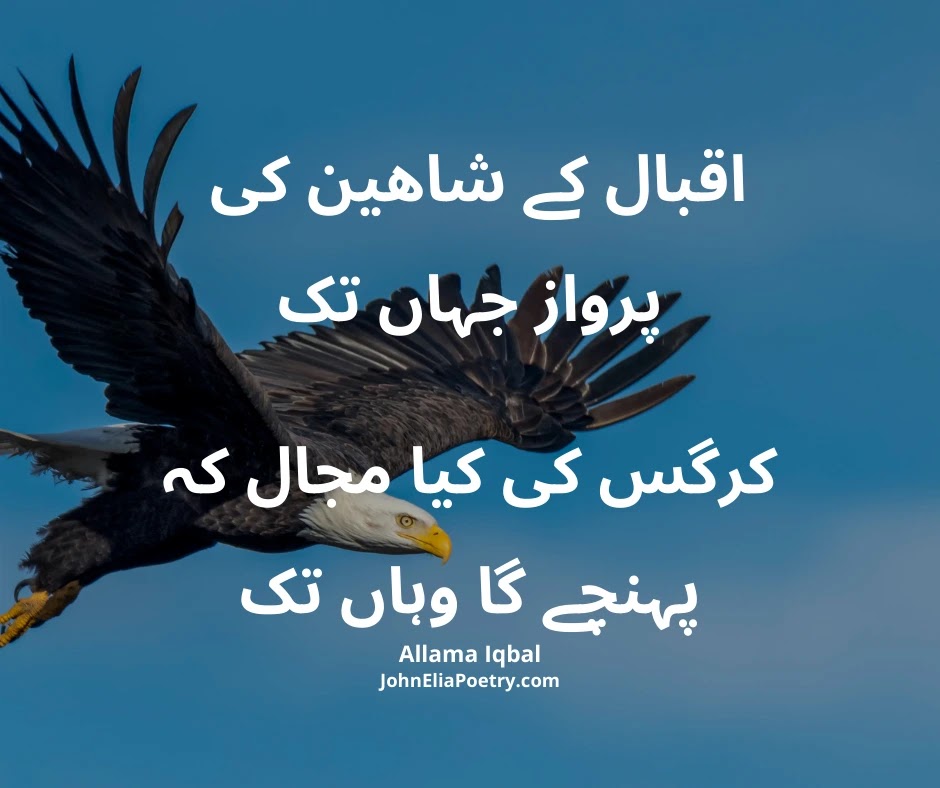 اقبال کے شاھین کی پرواز جہاں تک اقبال کے شاھین کی پرواز جہاں تک