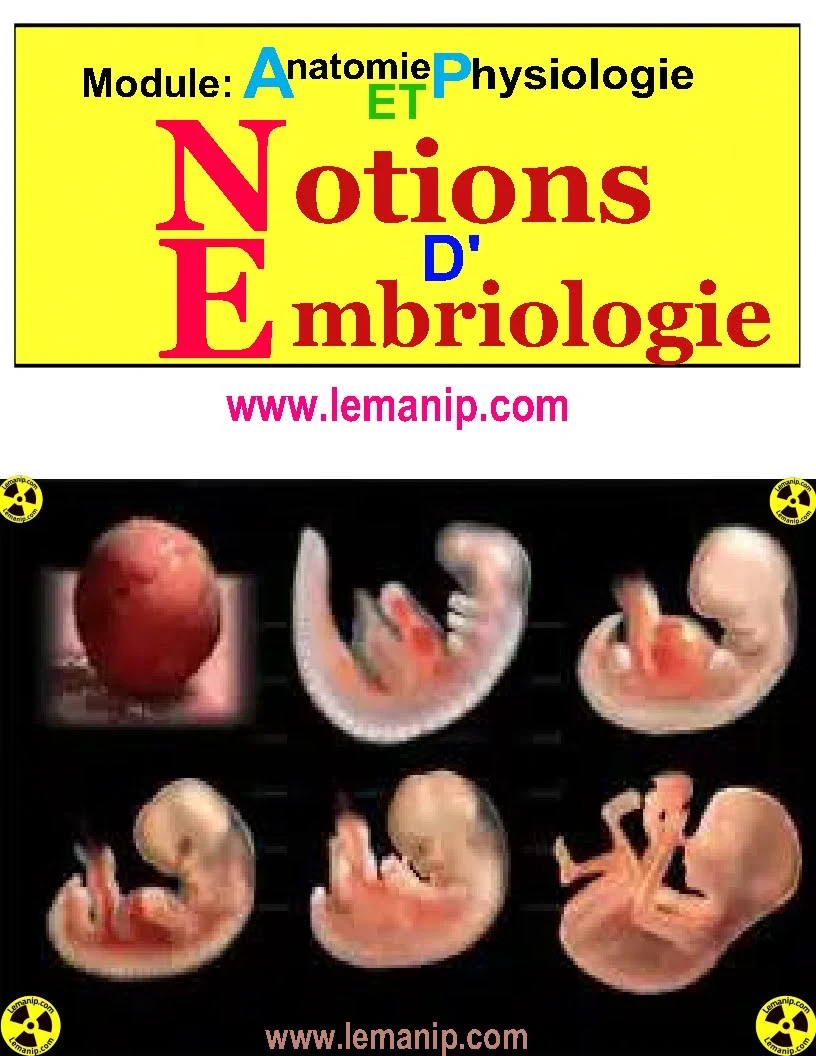 Module : Anatomie  Et Physiologie  Notions D'Embryologie       Corps Humain Femme Et Homme